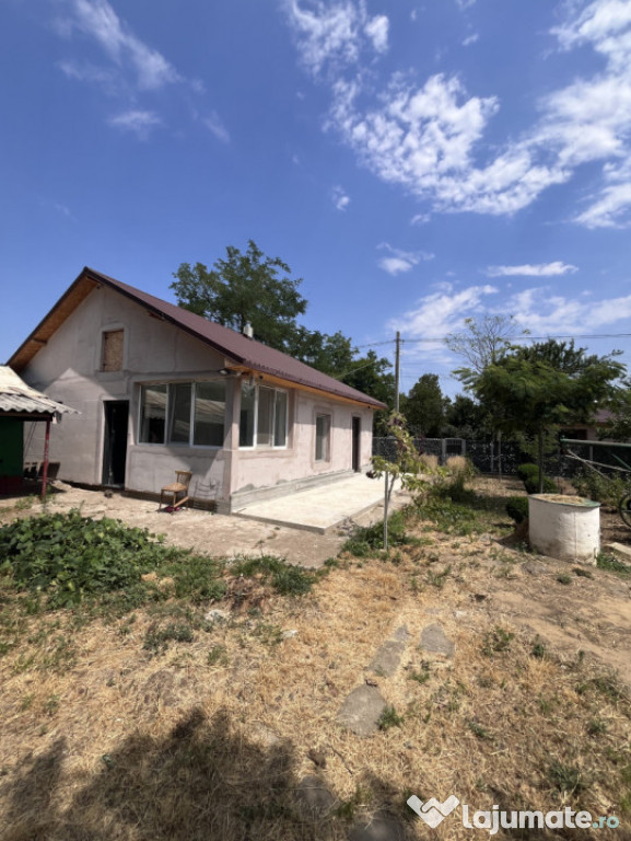 Casa de vacanta - Munteni Buzau - Jutetul Ialomita - Curte 2