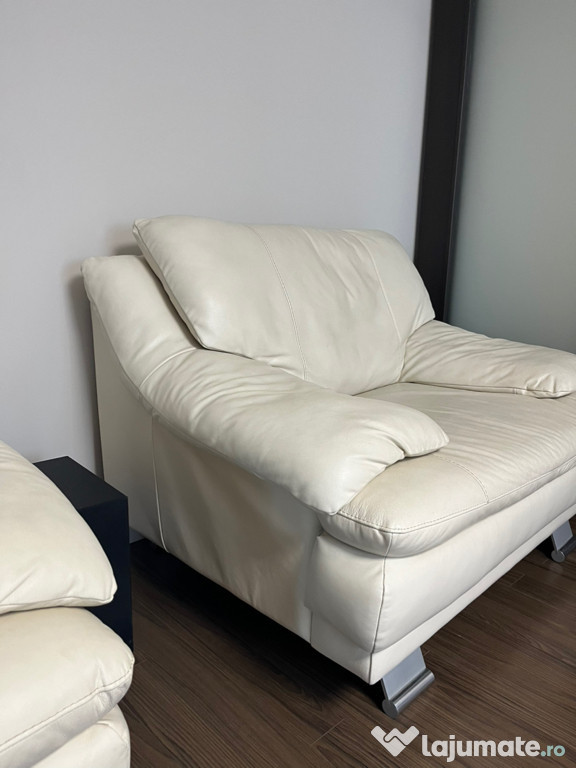 Fotoliu piele Mobexpert