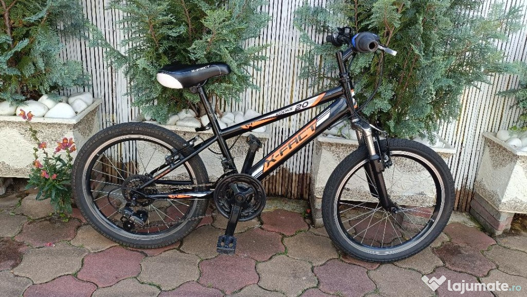 Bicicleta pentru copii, X Fact, Rookie 20 inch