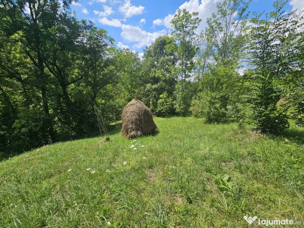 Teren de in Valea Doftanei