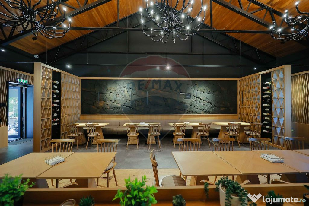 Hotel-Spa-Restaurant nou de Vânzare, 26 Camere, în Padiș,