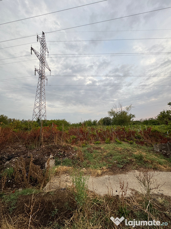 Teren 2500 mp, intravilan, Mihăilești – pret negociabil
