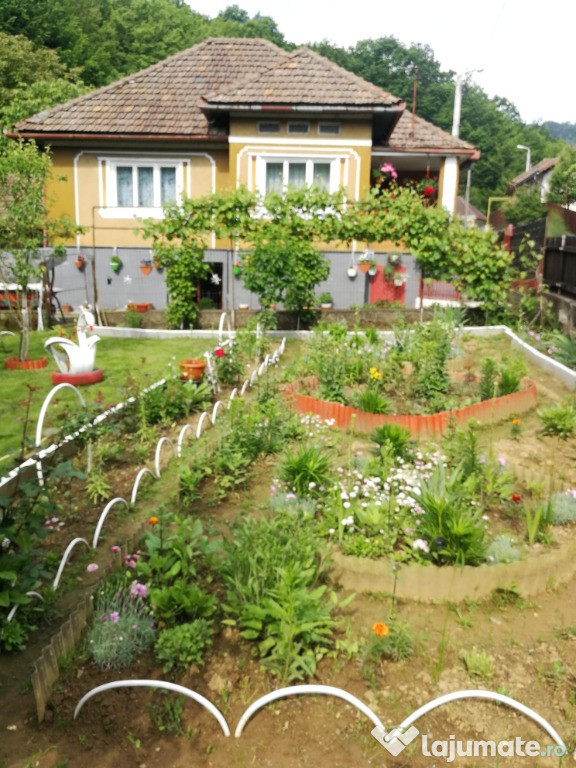 Ferneziu, zona buna, casa