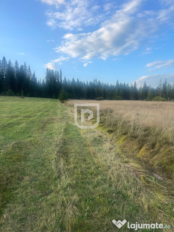 Teren intravilan – Poiana Stampei ????