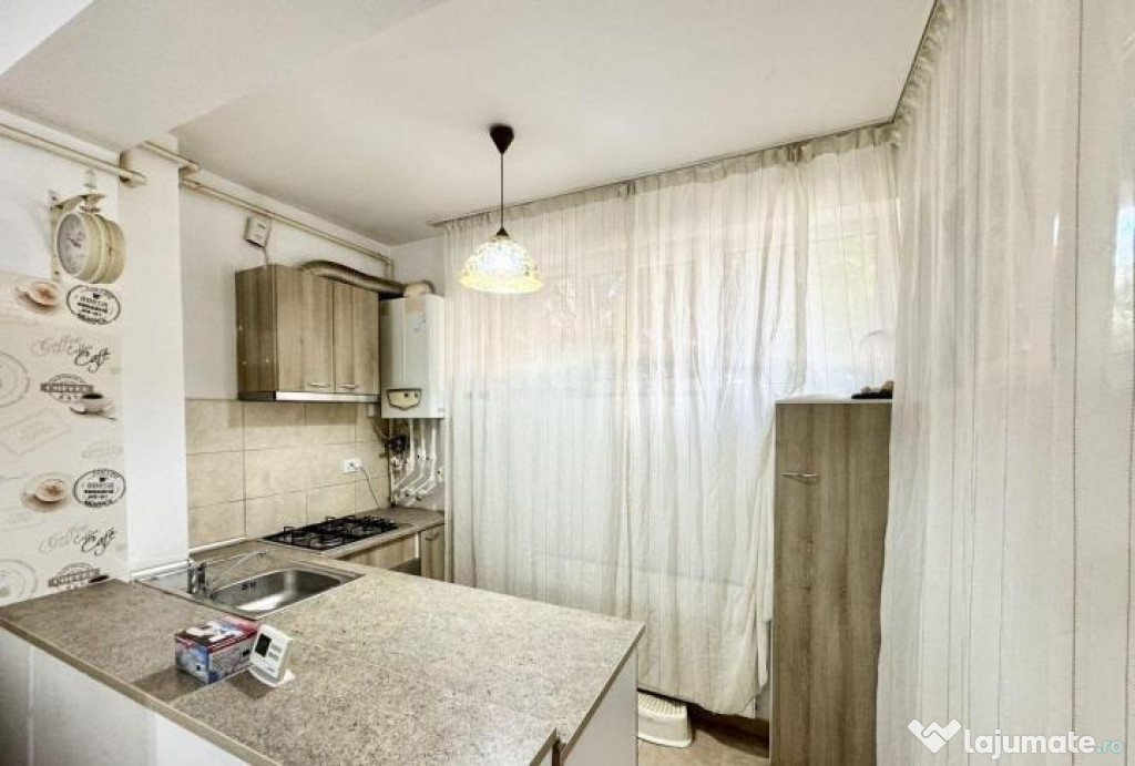Dimitrie leonida demisol studio pet friendly