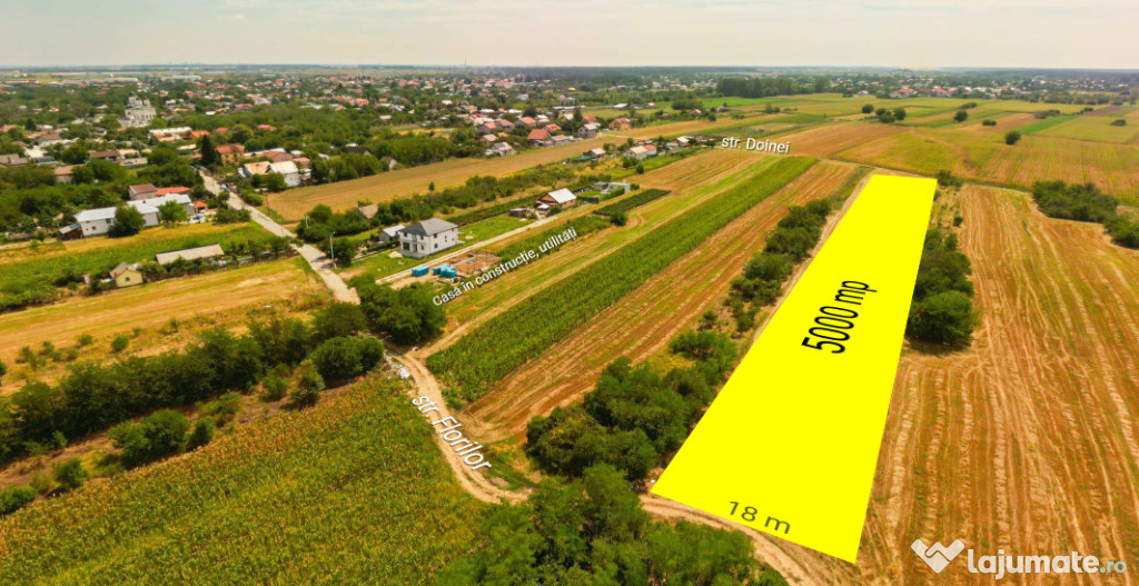 Teren intravilan construibil Bolintin Deal 5000 mp – dublă deschidere