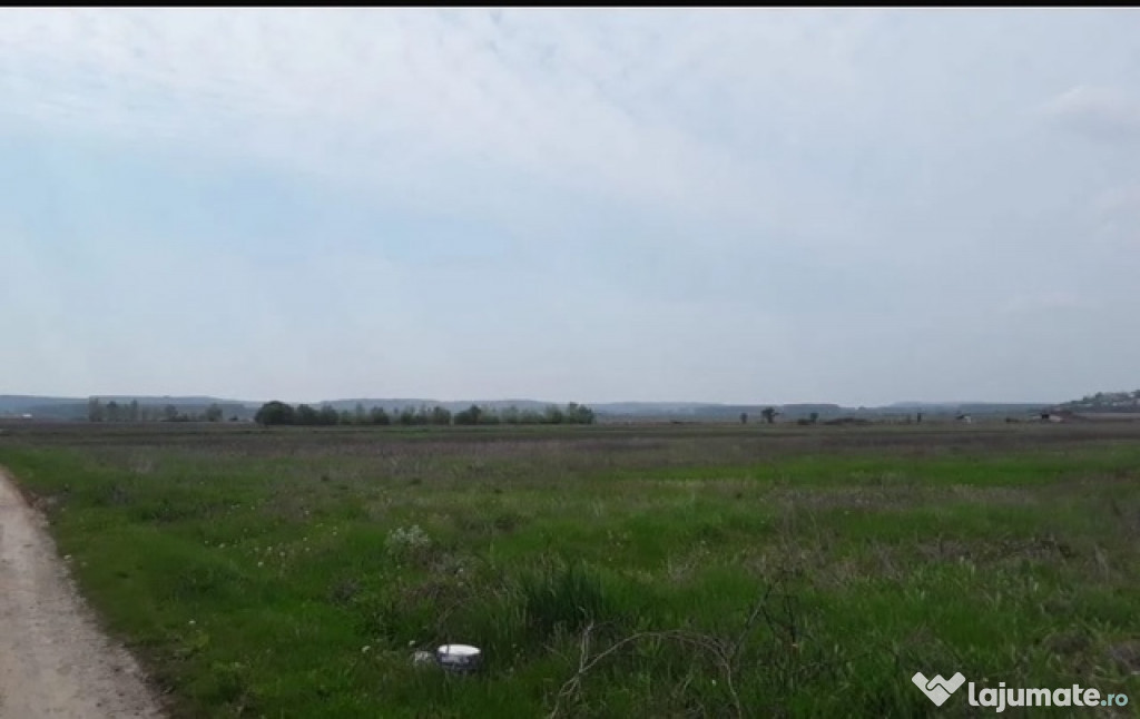 Teren intravilan, 12500 mp, Beharca