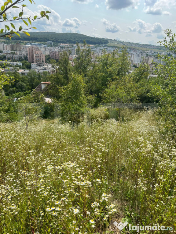 Casă Str. Negoiului, 2.249 mp teren, zonă liniștită, ved
