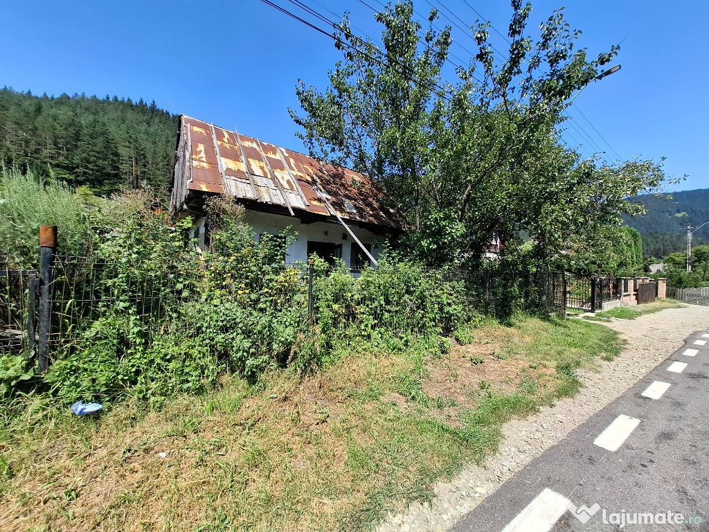 Teren investiție turistică sau casă – 2337 mp intravilan,Grinties
