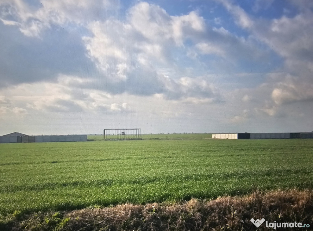 Teren intravilan, 500 mp, zona Simode Peugeot, Pielesti, pos