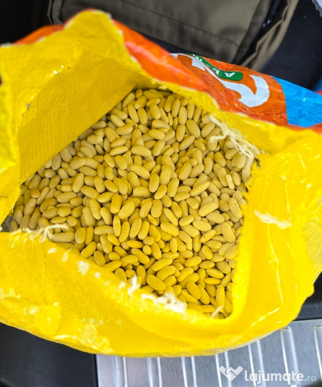 Fasole albă premium