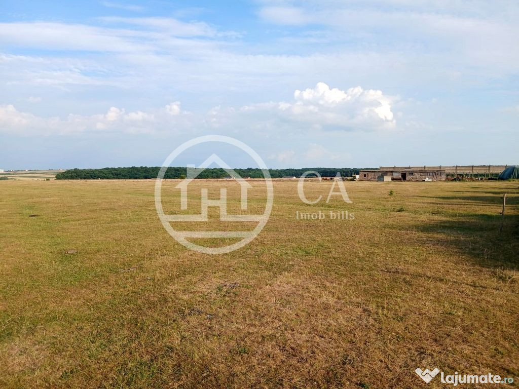 Teren 5000 mp de vanzare in Sanmartin, Cihei