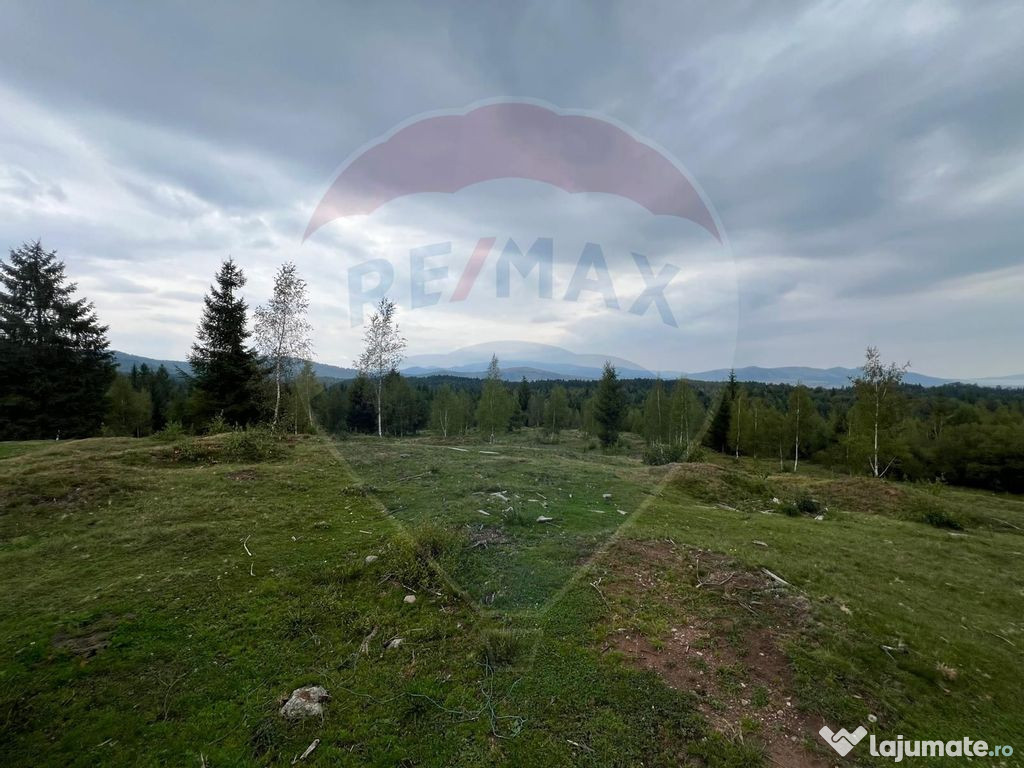 Teren extravilan parcelabil Călățele Pădure, zona Dea...