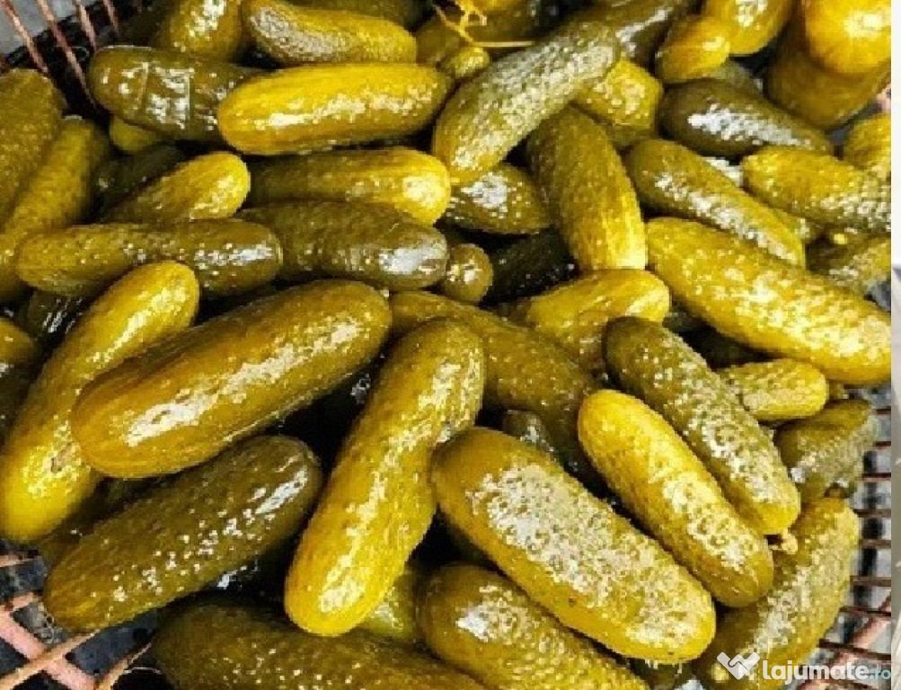 Castraveți murați