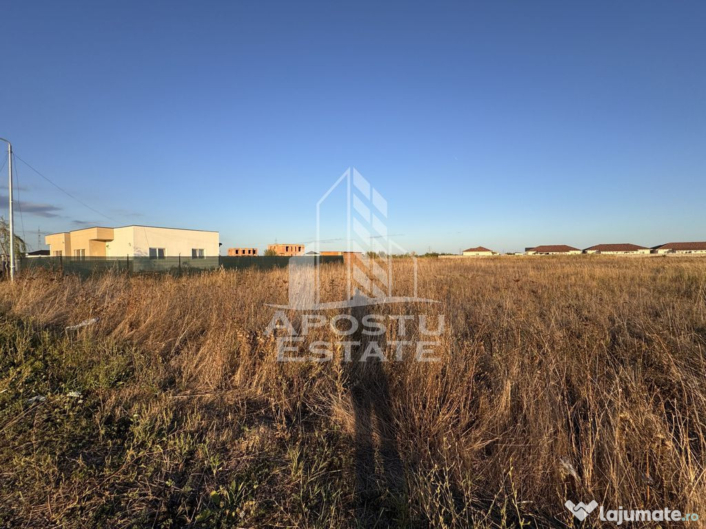 Teren Intravilan | 706mp | Front 16ml | Zona Mosnita Noua...