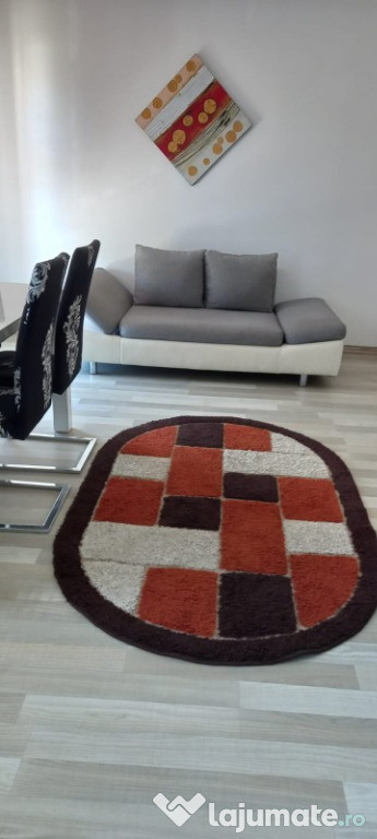 Apartament 2 camere zona Viisoara