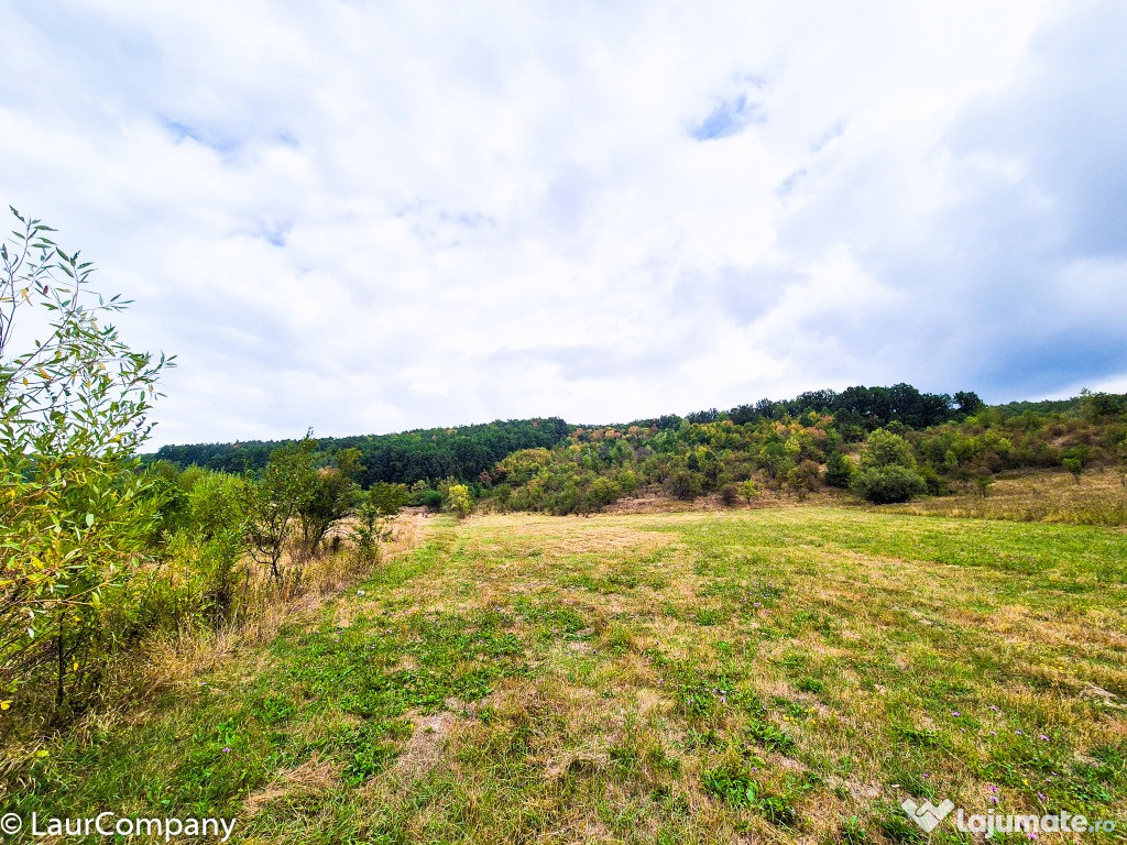 Teren 1,4 hectare Draganu Arges