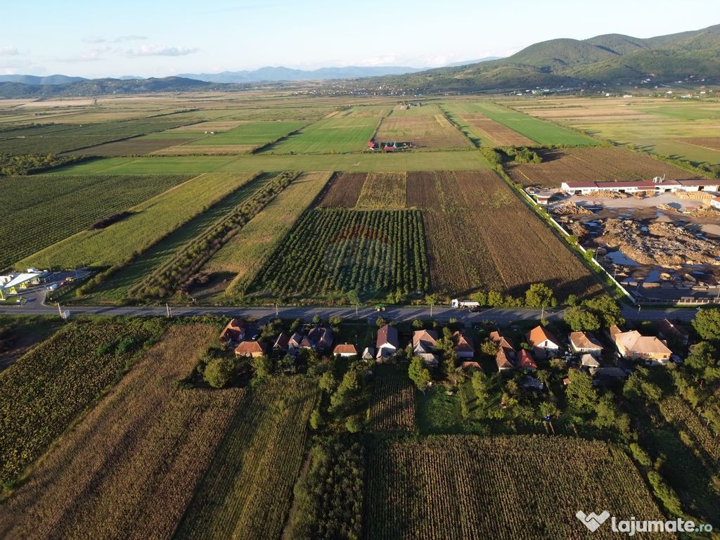 Teren INTRAVILAN 10,778mp Seini E 58 ideal/ activitati ec...