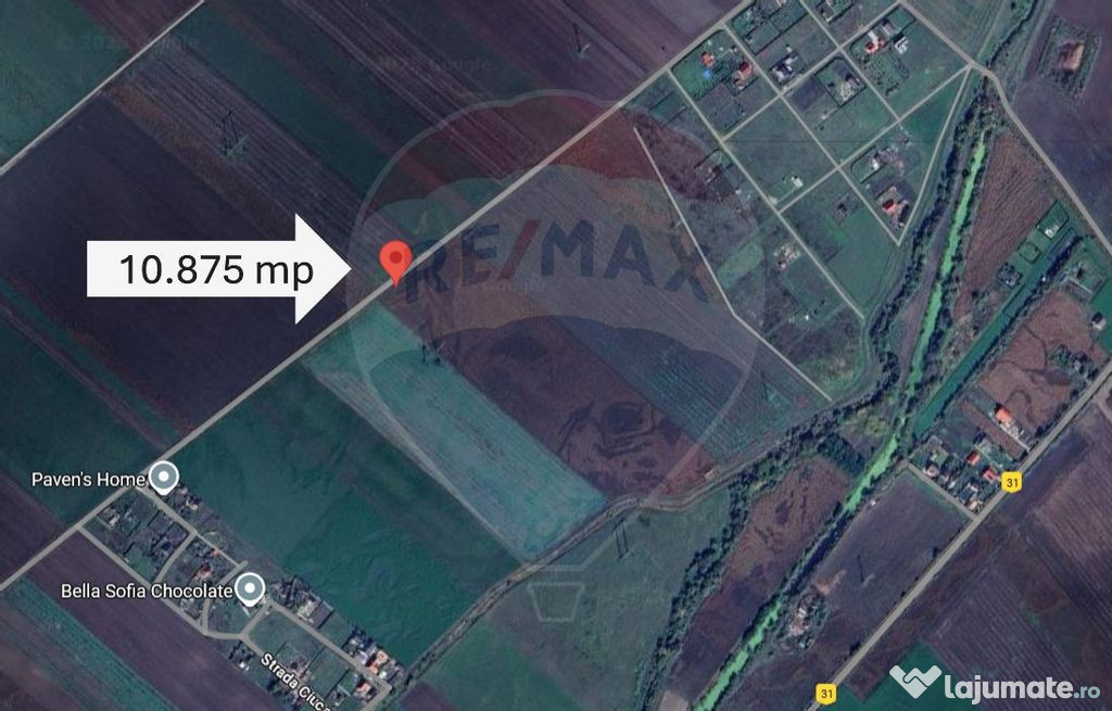 Teren 10.875 MP | Hălchiu | Jud. Brasov