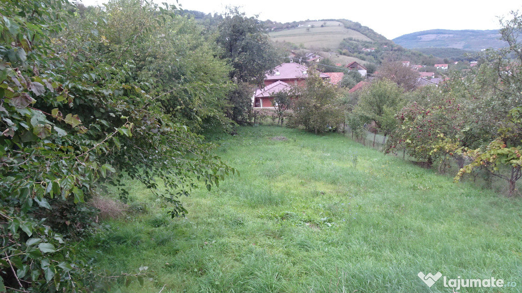 Vand teren intravilan in Deva, zona Viile Noi, suprafata totala 581 mp