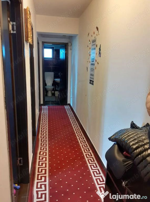 APARTAMENT 2 CAMERE DRUMUL BINELUI - AUREL PERSU