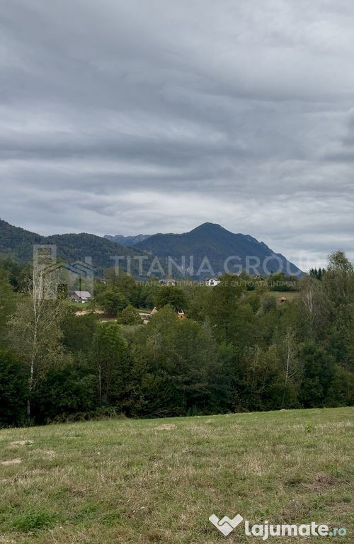 Teren intravilan, cu PUZ, Bran Tohanita, pârâu, pădure...