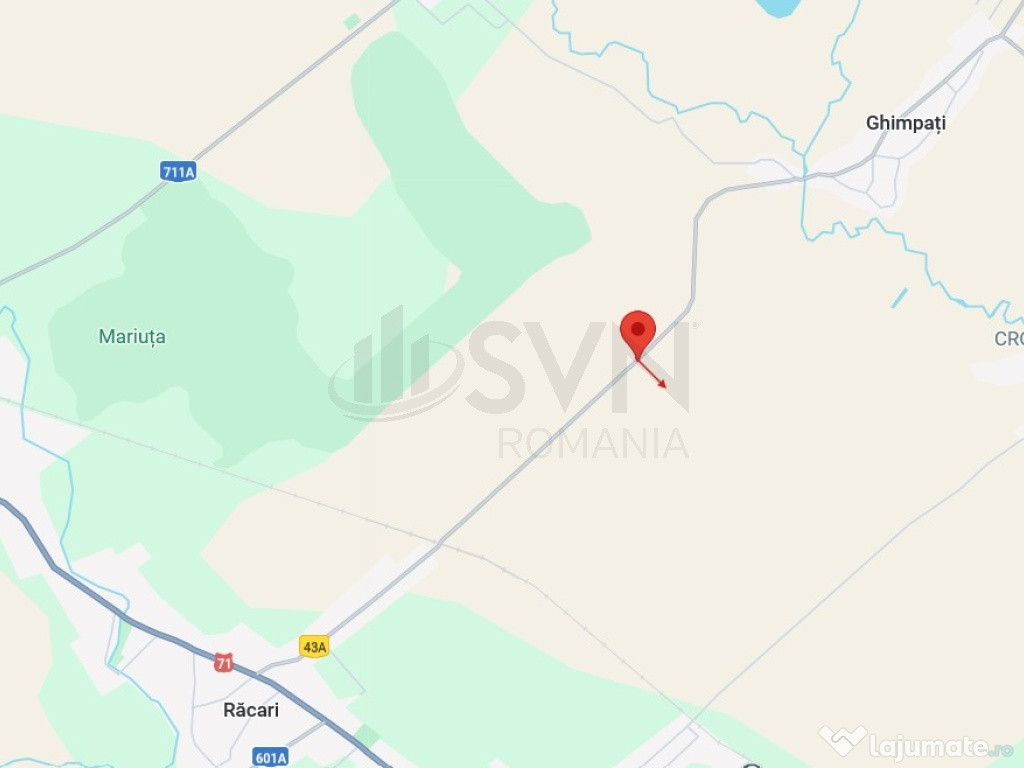 Oportunitate I Teren Intravilan 30.000 mp I Racari I Damb...