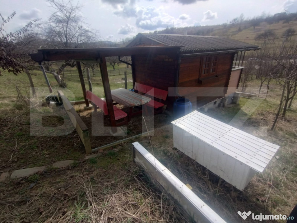 Teren 300 mp + Cabana,zona Livezile,Valea Lunga