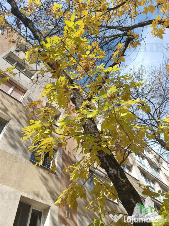 Apartament frumos intr-un bloc reabilitat, cu 3 camere si ba