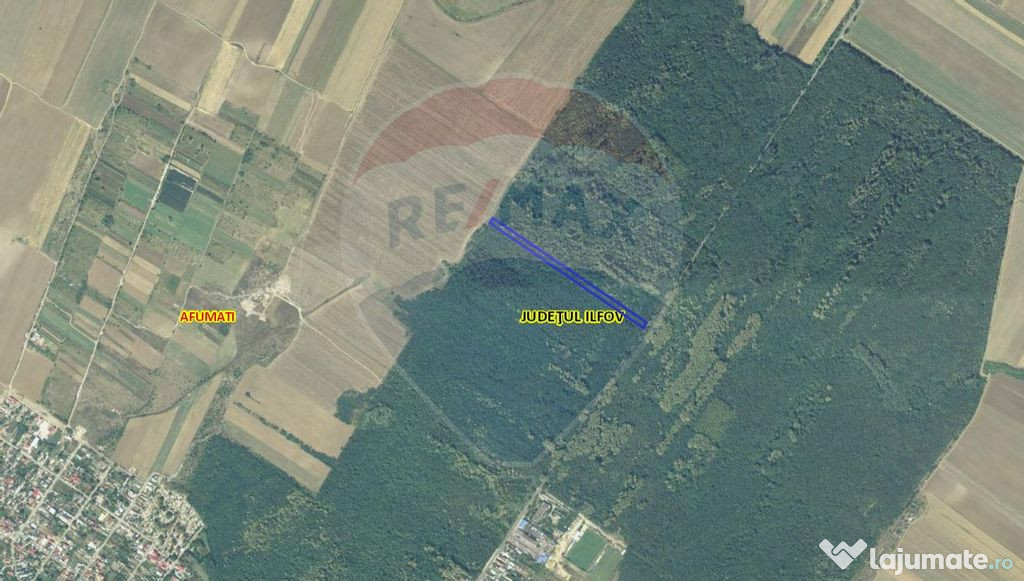 Teren 10,000mp Afumati | Padure | Soseaua Petrachioaia