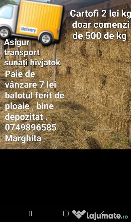 Paie de vanzare asigur transport sau ajutoaee la încatcat