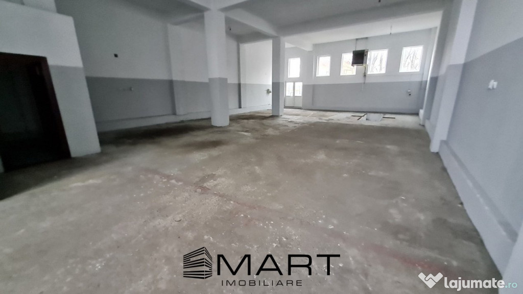 Hală multifuncțională zona terezian