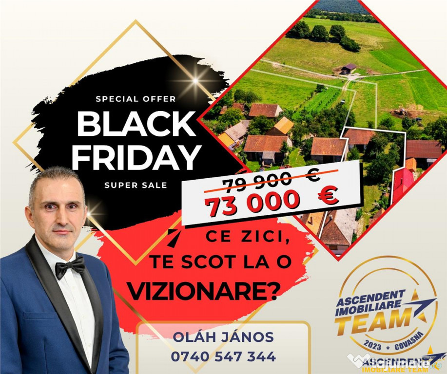 FILM!Doua case traditionale,pe domeniu cu peste 5.000mp tere