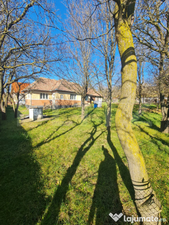 Teren intravilan, 2589 mp, Certificat de urbanism, Rediu, co