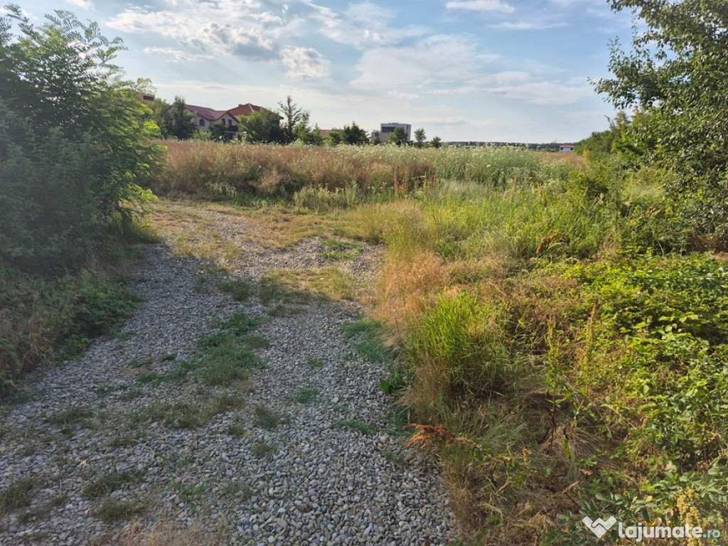 Teren ieftin la liziera padurii Balotesti, 13500 euro