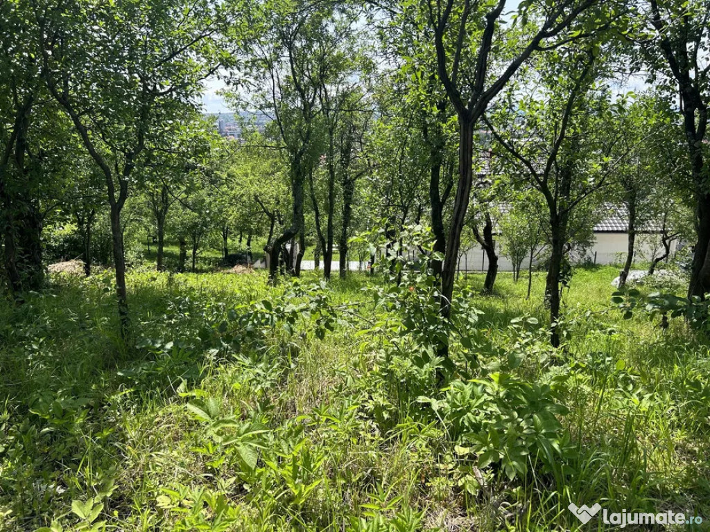 Parcelă de 3,72 ari – zonă rezidențială pe deal, utili