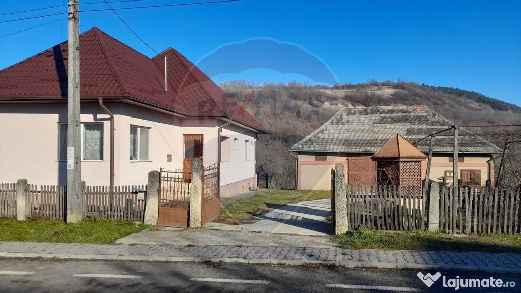 DE VANZARE- GOSPODARIE cu 95 arii teren