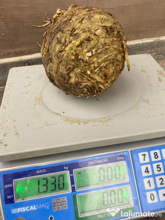 Țelină-hibrid “Diamant”