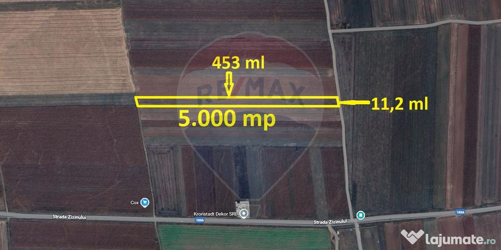 Teren Extravilan 5.000 mp Tarlungeni / Strada Zizinului