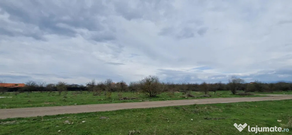 Teren Intravilan 533 mp Sanpetru