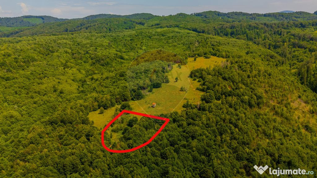 COMISION 0% Teren 6,572 mp/Curți construcții/ Intravilan