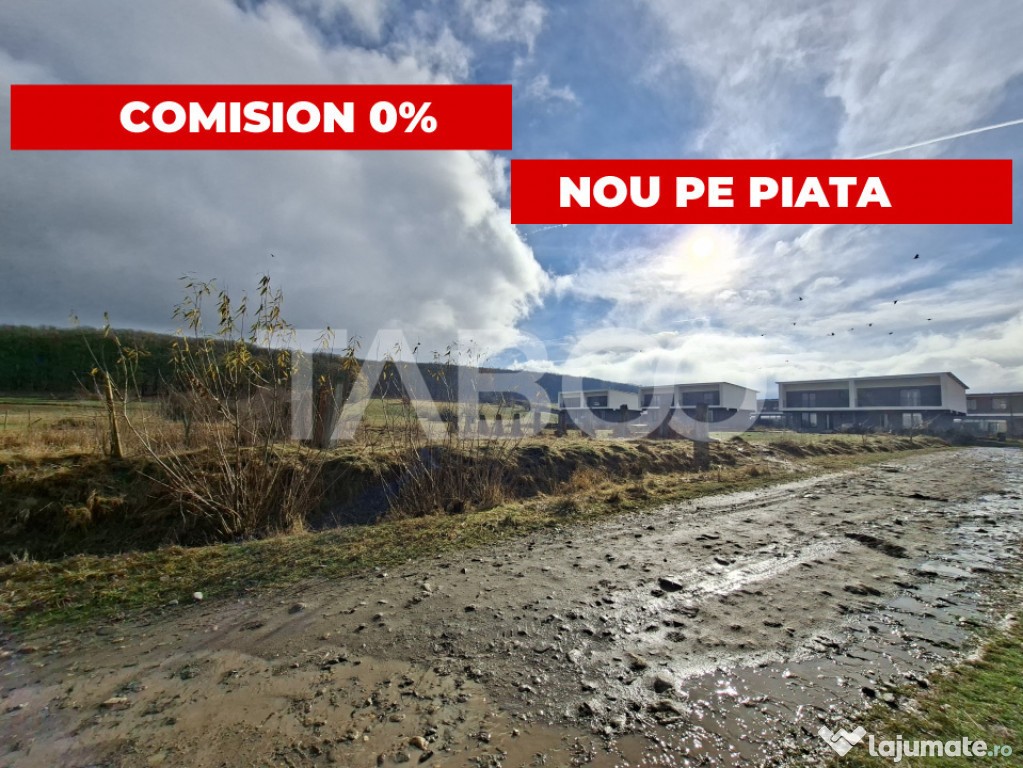 Teren intravilan de vanzare in Rasinari zona Calinis - 890 m