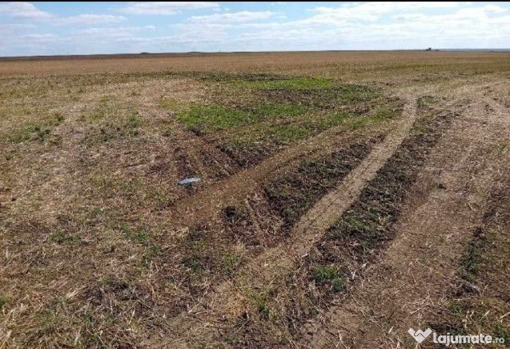 Teren extravilan cota parte 1/2 Alexandria, ID: R2814838