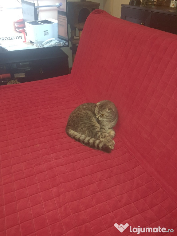 Canapea Ikea.Husa.topper