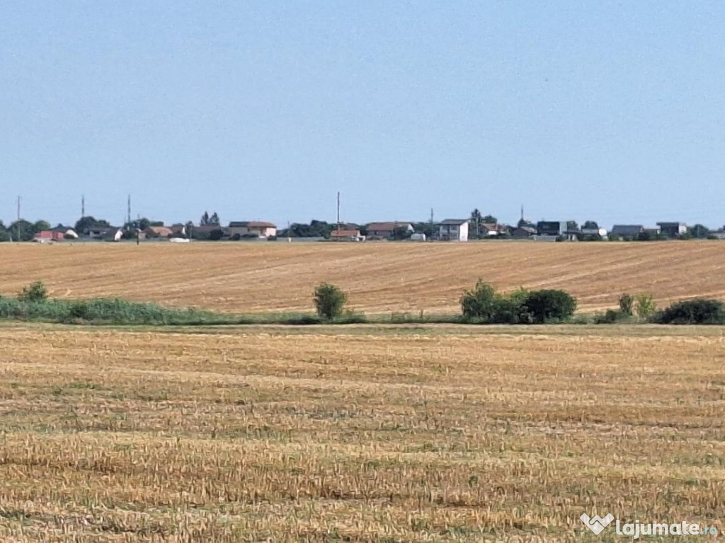 Teren 2 ha la Centura de Nord a Craiovei sau parcele mai mici