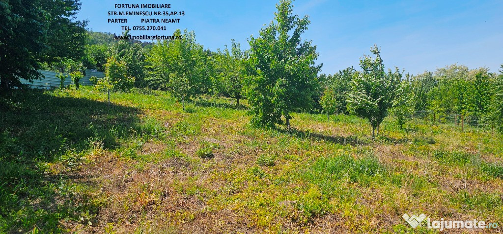 Teren zona Pietricica, cadru natural superb