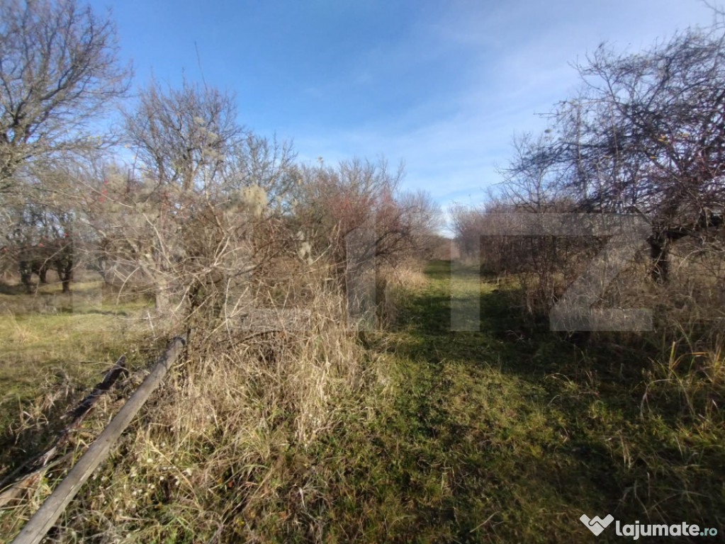 Teren extravilan,(livada pomi) 1,50 ha zona Subcetate