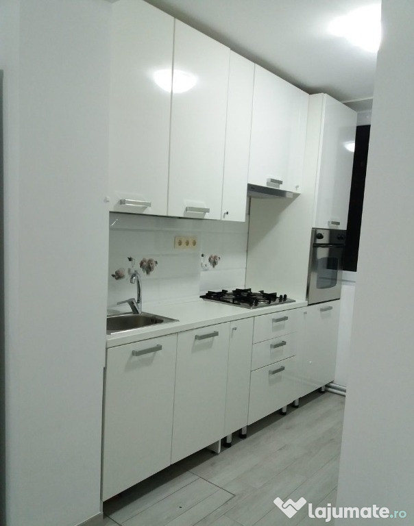 Garsoniera Domenii vis a vis de parcul Ciresarii