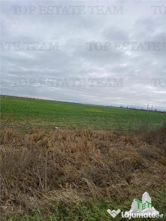 Teren Extravilan in Prahova