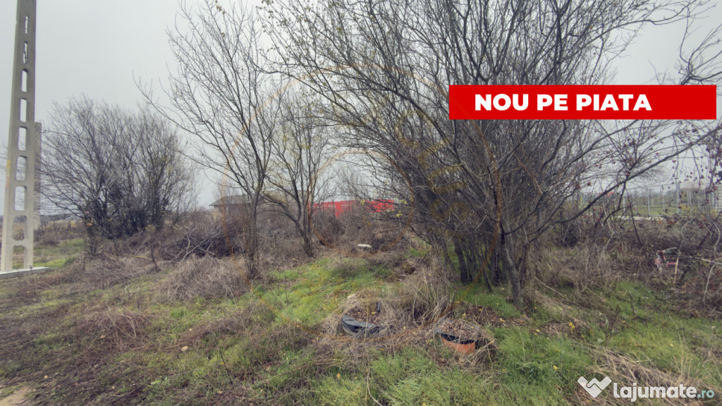 Teren de 533 mp - 10 min de Pitesti-Albota Argeș!